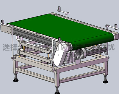自动称重检测输送线